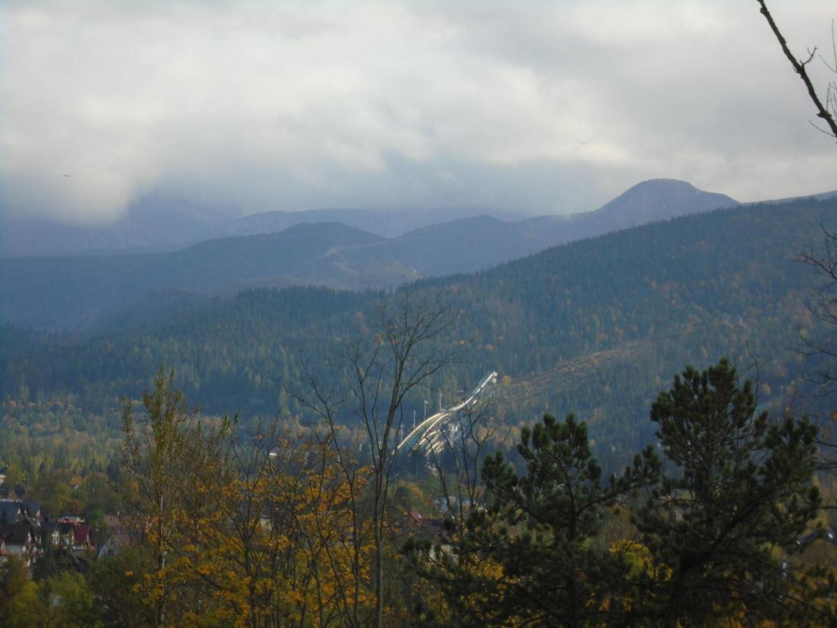 Willa Halusia Zakopane Exterior photo
